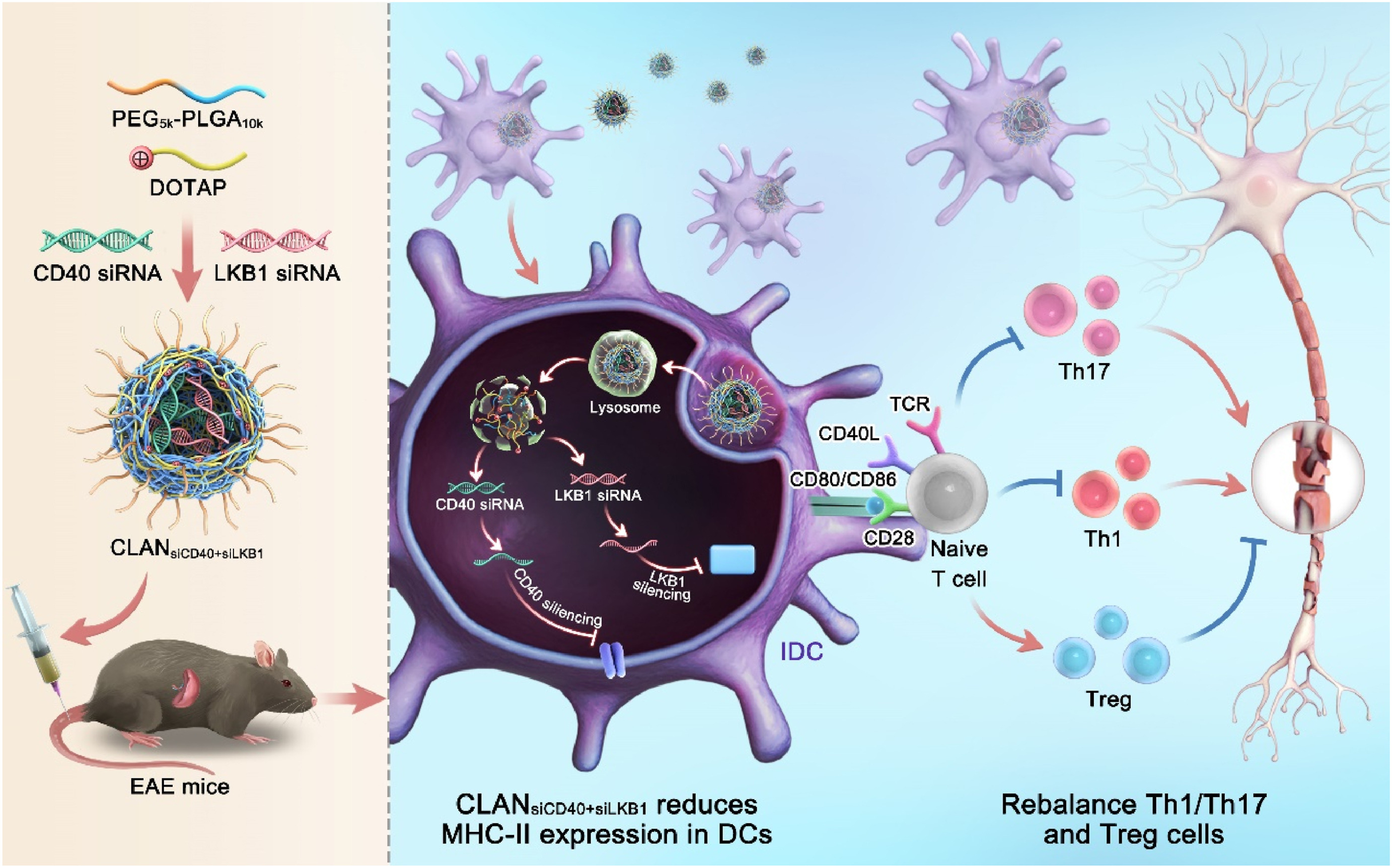 ABUIABAEGAAg2_HysQYosMuelwEwugM4tQM