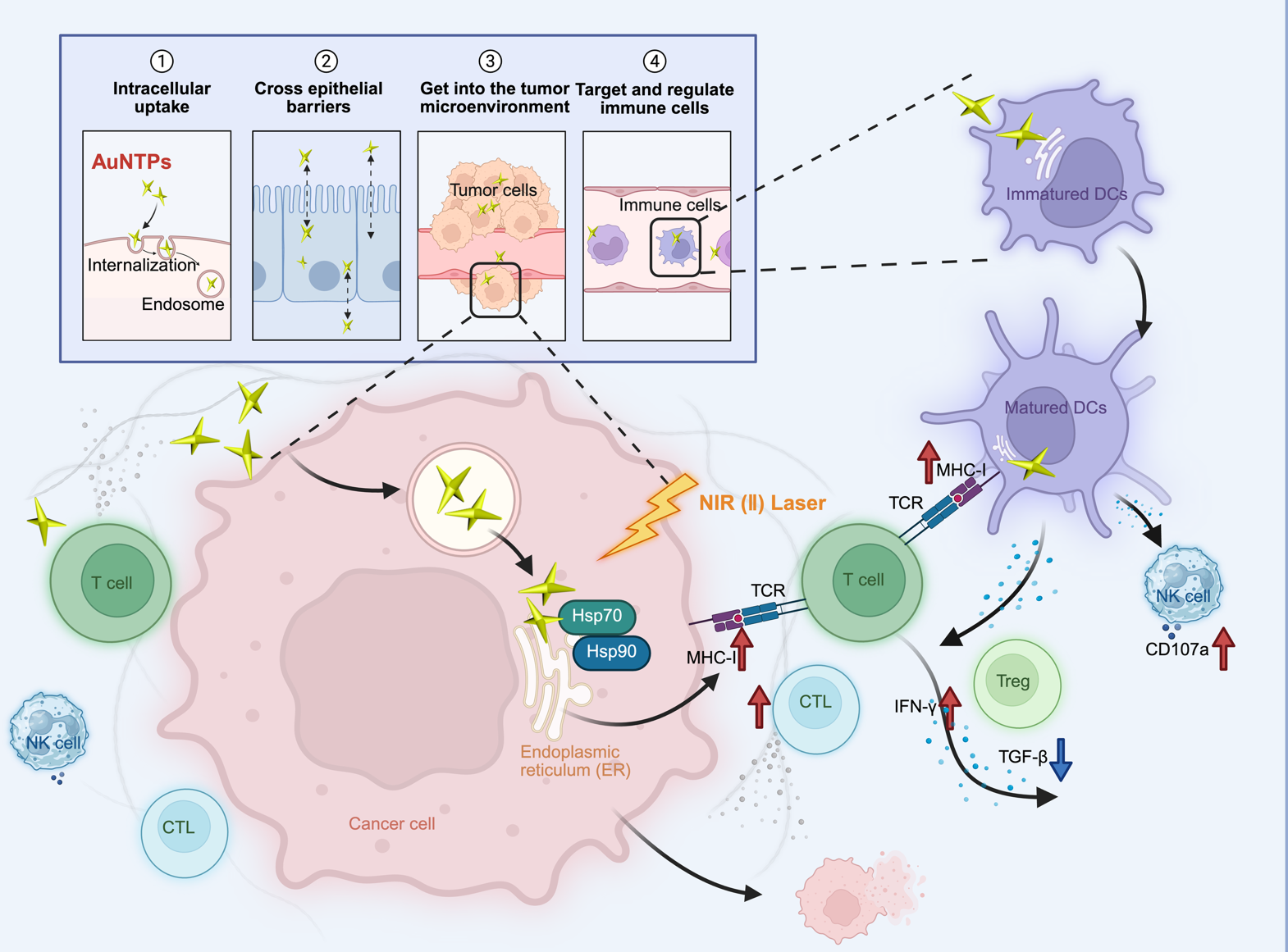 ABUIABAEGAAg2_HysQYosMuelwEwugM4tQM